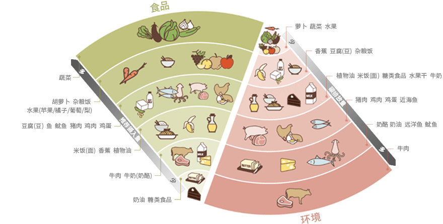 로하스 다이어트 모델