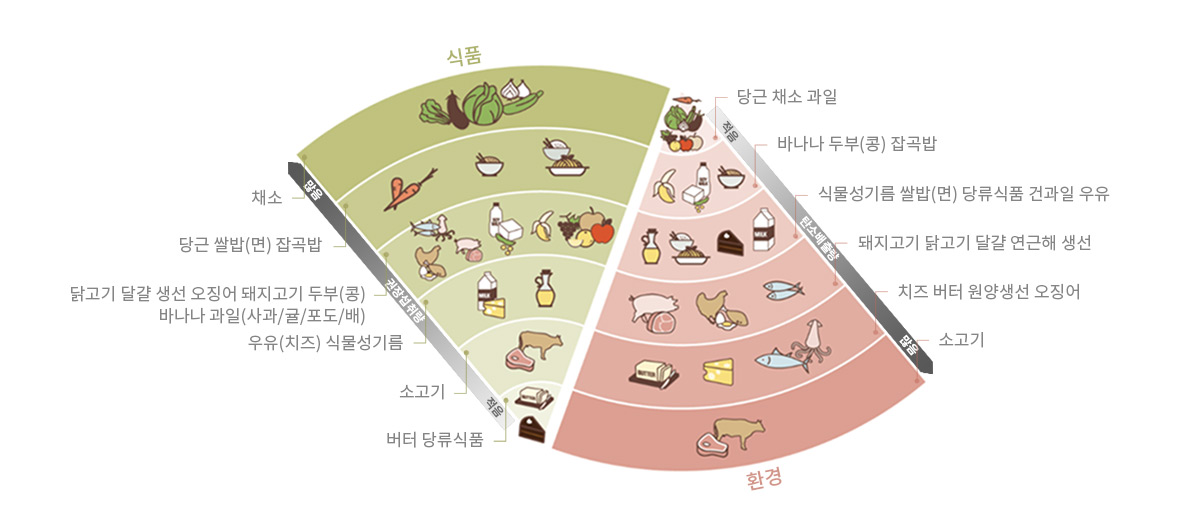 로하스 다이어트 모델