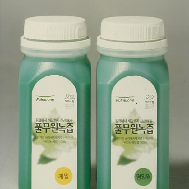 유기케일 / 유기명일엽 제품 이미지